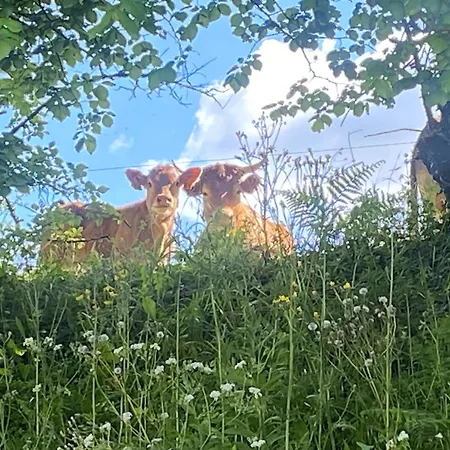 La Belle Campagne Granges-d'Ans