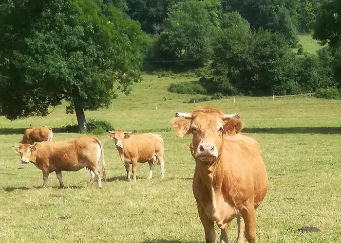 Gasthuis La Belle Campagne 3*