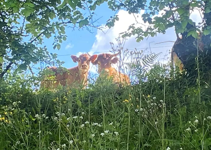 La Belle Campagne Granges-d'Ans